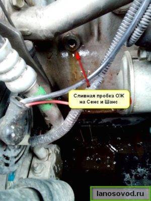 Слив антифриза или тосола из системы охлаждения и блока двигателя