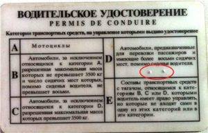 Метки на правах и их значения: какую информацию о водителе они в себе несут