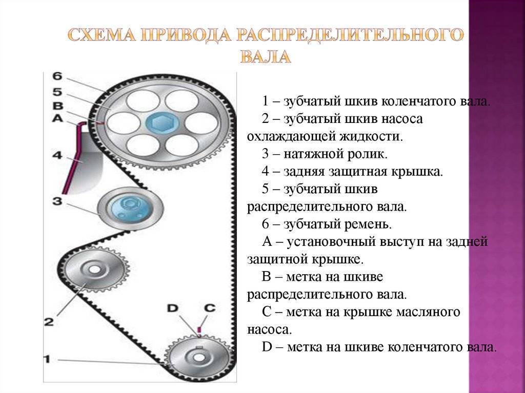 Замена ремня грм своими руками - все этапы